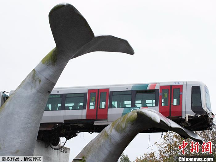 荷兰列车冲出轨道 幸被鲸鱼雕塑“拯救”