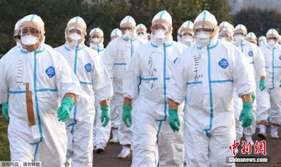 日本香川县发生H5型禽流感疫情 约33万只鸡将被扑杀