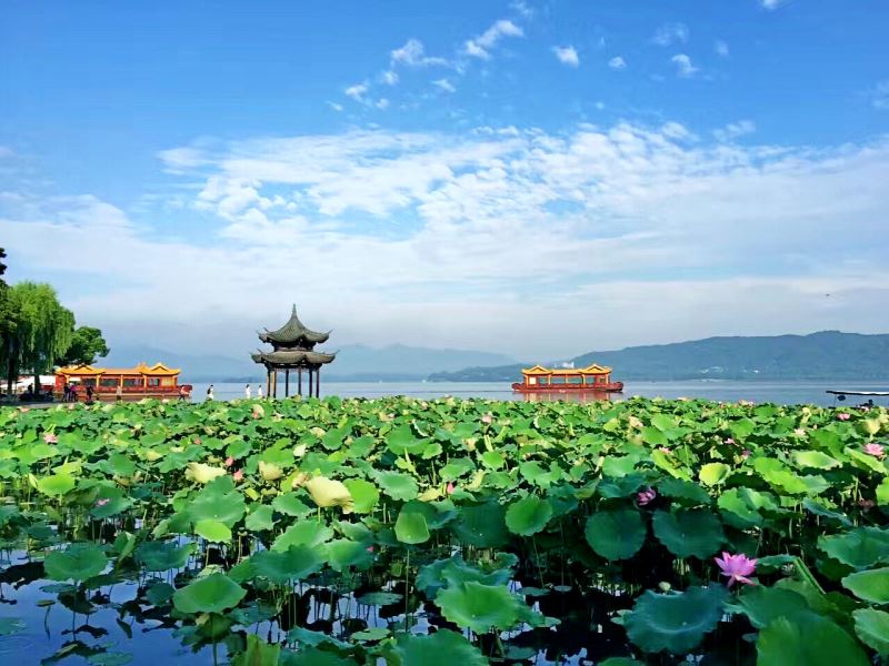 杭州连续15年被评为“中国最具幸福感城市”