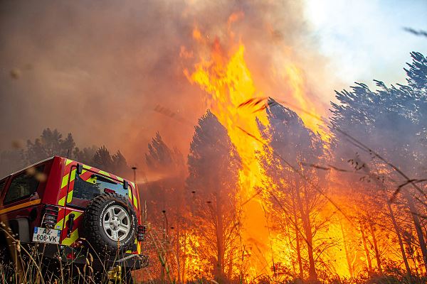 法国森林火灾过火面积达上万公顷