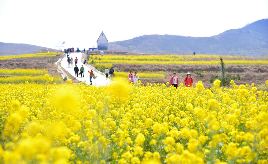 清明节假期中国国内旅游出游2376.64万人次