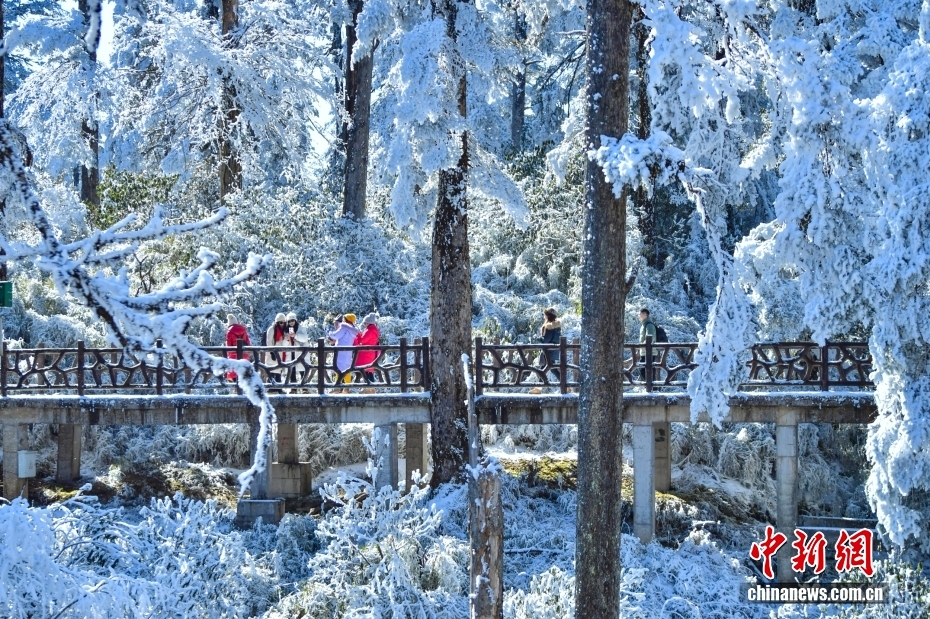 四川眉山：瓦屋山雪后银装素裹引游人