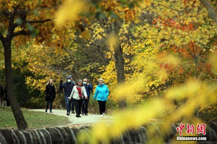 资料图：当地时间10月24日，加拿大多伦多，市民周末在市内一处公园漫步，欣赏秋色。
记者 余瑞冬 摄